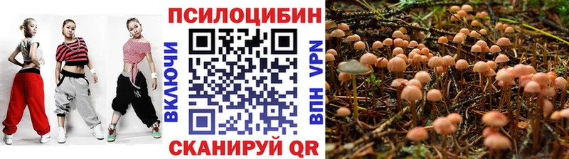 Псилоцибиновые грибы Magic Shrooms  Чёрмоз 